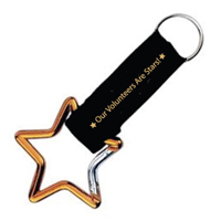 Volunteer Carabiner/Key ring